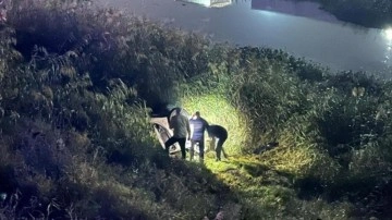 Kaçak göçmen taşıyan otomobil Asi Nehri'ne uçtu: 9 yaralı