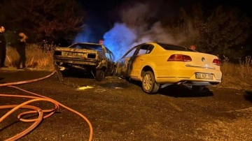 Kafa kafaya çarpışan otomobiller alev aldı
