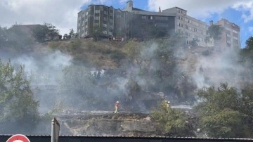 Kağıthane'de ağaçlık alan alev alev yandı
