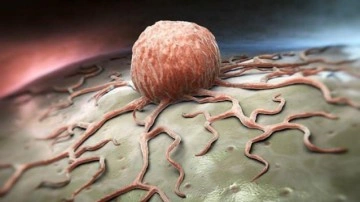 Kanser tedavisinde d&ouml;n&uuml;m noktası olabilir: Uzmanlar "elektrikli dili" &ccedil;&ouml;zmeye &ccedil;alışıyor