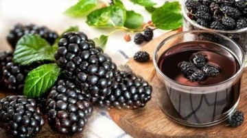 Karadut &ouml;z&uuml;n&uuml;n faydaları nelerdir? Karadut &ouml;z&uuml; g&uuml;nde ne kadar i&ccedil;ilmelidir?