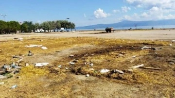 Karasinek sorununun altından CHP'li belediye &ccedil;ıktı! Su&ccedil;u b&uuml;y&uuml;kşehir belediyesine attı