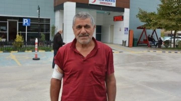 Kastamonu'da ayı saldırısı! Kaçarken yamaçtan düştü