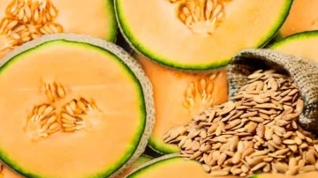 Kavun &ccedil;ekirdeği nasıl t&uuml;ketilir? Kavun &ccedil;ekirdeğinin faydaları nelerdir? Kavun &ccedil;ekirdeği s&uuml;t&uuml;&hellip;