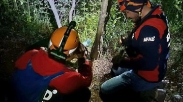 Kayıp vatandaş ormanda ölü bulundu