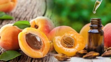 Kayısı &ccedil;ekirdeği yağı faydaları nelerdir? Kayısı &ccedil;ekirdeği yağı y&uuml;ze s&uuml;r&uuml;l&uuml;r m&uuml;?