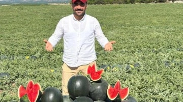 Kayısı zarar gördü, başka ürün yüz güldürüyor… Kilosu 3 liraya düştü