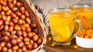 Kaynatılmış iğde suyunun faydaları nelerdir? Kuru iğde kabuğunun faydaları&hellip;