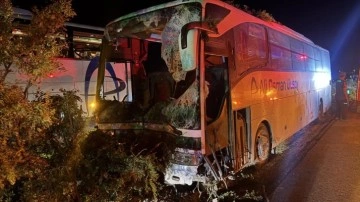 Kayseri'de yolcu otobüsü refüjdeki ağaçlara çarptı