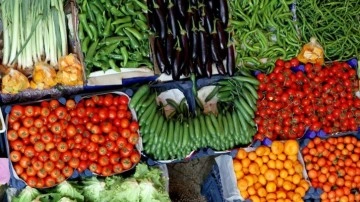 Kayseri'de "Yüzde 100 Ekolojik Pazar" açıldı
