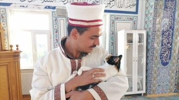 Kedileri leğende yıkayan imam hayvan sevgisiyle örnek oluyor