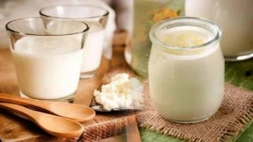 Kefir nedir, faydaları nelerdir? Kabızlık i&ccedil;in kefir nasıl t&uuml;ketilir?