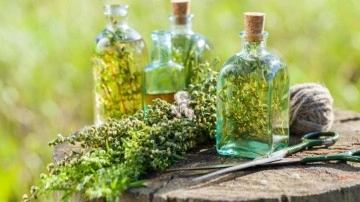 Kekik suyu nasıl t&uuml;ketilir, faydaları ve zararları nelerdir? Kekik suyu boğaza iyi gelir mi?