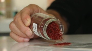 Kilosu 250 bin liradan satılıyor: Mısır püskülünden sahtesini yaptılar