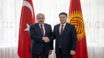 Kırgızistan Meclis Başkanı Mamitov, TBMM Başkanı Şentop'la g&ouml;r&uuml;şt&uuml;