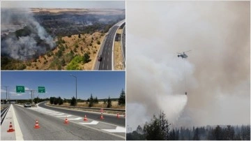 Kırklareli'nde ağaçlık alanda çıkan yangın söndürüldü.