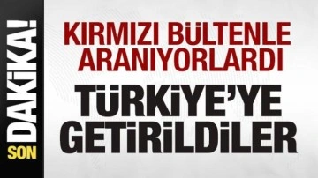 Kırmızı bültenle aranıyorlardı! Türkiye'ye getirildiler