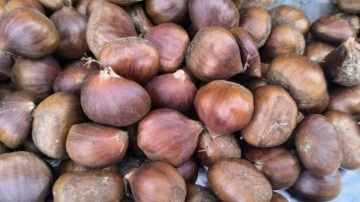 Kış sofralarının vazge&ccedil;ilmezi! Kestane, fiyatıyla y&uuml;zleri g&uuml;ld&uuml;r&uuml;yor