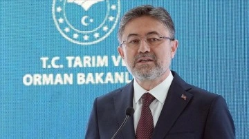 Korunan alanları 4 ayda yaklaşık 13 milyon kişi ziyaret etti