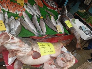 K&ouml;şem Balık&rsquo;ta Dev Balıklar Tezgahta!
