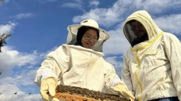 Kovanları babasından aldı! "Askeri disiplinle" bal &uuml;retiyor