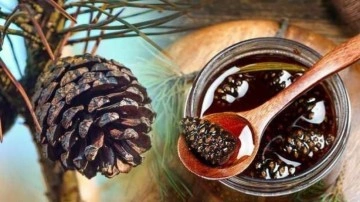 Kozalak pekmezi faydaları nelerdir? Her sabah a&ccedil; karnına kozalak pekmezi i&ccedil;mek neye iyi gelir?