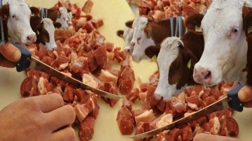 Kurban Bayramı&rsquo;nda etleri dinlendirmeye dikkat! Kurban eti ne kadar s&uuml;rede t&uuml;ketilmeli?