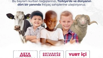 Kurbanlık fiyatları belli oldu! 2023 yurti&ccedil;i ve yurtdışı hisse bedelleri