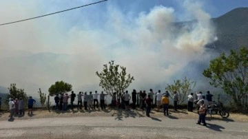 Küre Dağları Milli Parkı'ndaki yangın kontrol altına alındı