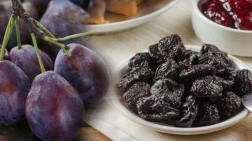 Kurutulmuş m&uuml;rd&uuml;m eriği faydaları nelerdir? Kuru m&uuml;rd&uuml;m eriği kemik erimesine iyi gelir mi?
