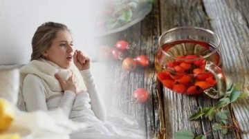 Kuşburnu &ccedil;ayı &ouml;ks&uuml;r&uuml;ğe iyi gelir mi? Her gece yatmadan &ouml;nce kuşburnu &ccedil;ayı i&ccedil;mek gribe iyi gelir mi?