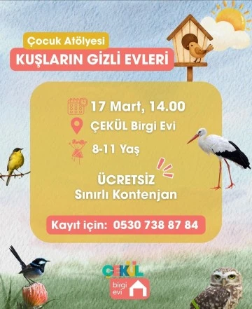 Kuşların gizli evleri