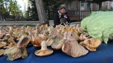 Kütahya'da 'Melki' bereketi