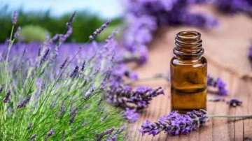 Lavanta yağının faydaları nelerdir? Lavanta yağı y&uuml;ze nasıl kullanılır?