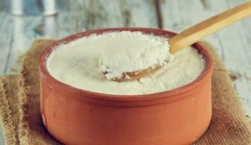 Manda yoğurdu faydaları nelerdir? Manda yoğurdu nedir?