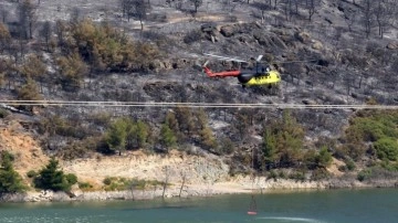 Manisa'nın Akhisar ilçesinde orman yangınına neden olan şüpheli tutuklandı