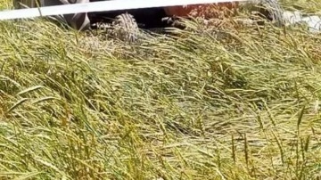 Manisa'da trakt&ouml;r devrildi; s&uuml;r&uuml;c&uuml; yaralı, eşi &ouml;ld&uuml;