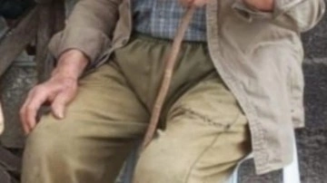 Mantar toplamaya gitmişti; cansız bedenine ulaşıldı