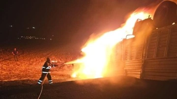 Mardin'de feci kaza! Ters dönen tır alev aldı, şoför yanarak can verdi