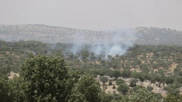 Mardin'de orman yangını: Kontrol altına alındı