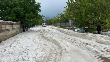 Mayıs ayında kara kışı aratmayan manzara! Her yer beyaza büründü