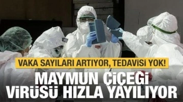 Maymun &Ccedil;i&ccedil;eği vir&uuml;s&uuml; nedir, nasıl bulaşır? Belirtileri ve korunma y&ouml;ntemleri a&ccedil;ıklandı