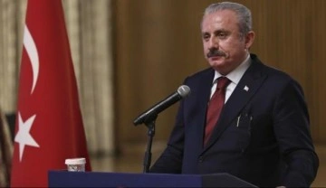Meclis Başkanı Şentop, Rusya Devlet Duması Başkanı Volodin ile g&ouml;r&uuml;şt&uuml;