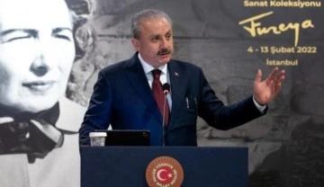 Meclis Başkanı Şentop'tan Atat&uuml;rk ve Adalet heykellerine saldırıya tepki