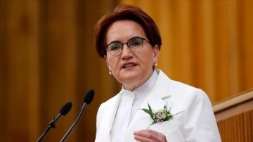 Meral Akşener'den 'Ferdi Zeyrek' paylaşımı