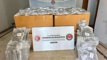 Mersin Limanı'nda konteynerde 587 kilo esrar ele geçirildi