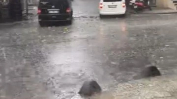 Meteoroloji uyarmıştı: İstanbul'da dolu yağışı! Aniden bastırdı