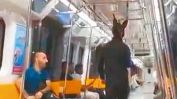 Metrodaki "tüfekli tavşan" yakalandı