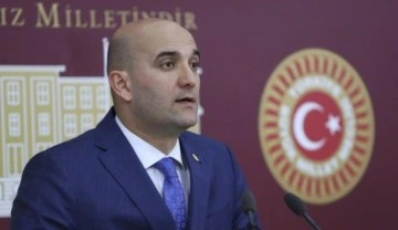 MHP'li Kılavuz: Başıboş sokak k&ouml;pekleri konusunda acil eylem planı oluşturulmalı