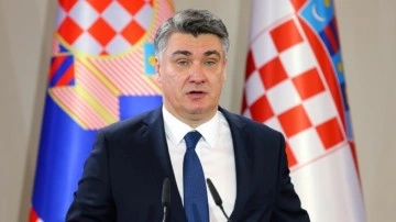 Milanovic hükümete seslendi: Filistin'i biz de tanımalıyız